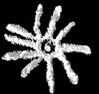 acrs0.jpg (5120 bytes)