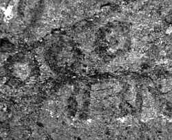 acrsd.jpg (11625 bytes)