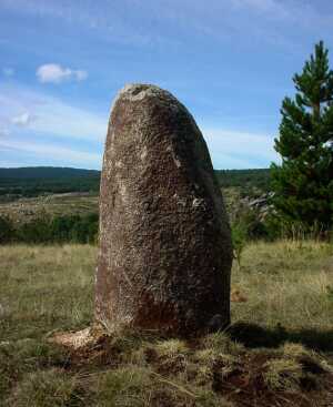 bndn4.jpg (13726 bytes)