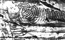 du95c.jpg (32287 bytes)
