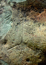 hl1b.gif (40732 bytes)