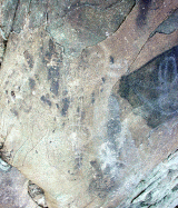 hl1o.gif (31891 bytes)