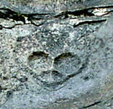 hl1z.gif (27050 bytes)