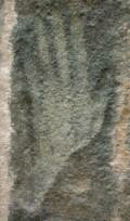 hl2d.gif (25124 bytes)