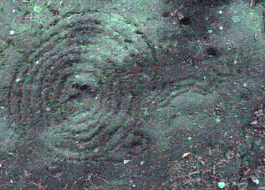 K4.gif (101118 bytes)